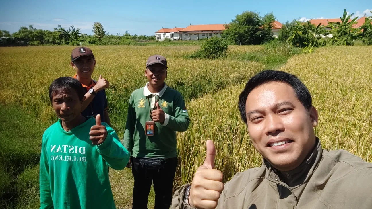 Petani di area sawah